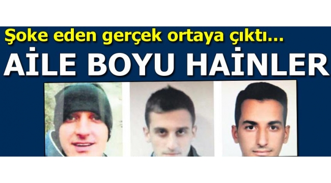 Aile boyu hainlik