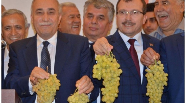 Bakan Fakıbaba: 
