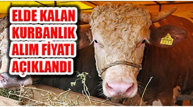 Bakan Pakdemirli açıkladı! Elde kalan kurbanlıklar ne olacak?