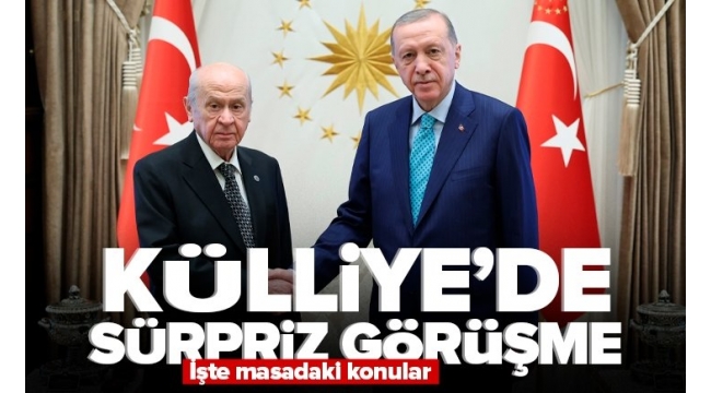 Başkan Recep Tayyip Erdoğan MHP Lideri Devlet Bahçeli'yi kabul etti! 