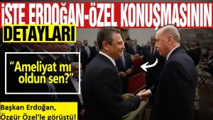 Özgür Özel ve Başkan Erdoğan, Meclis'te bir araya geldi! Haftaya görüşecekler 