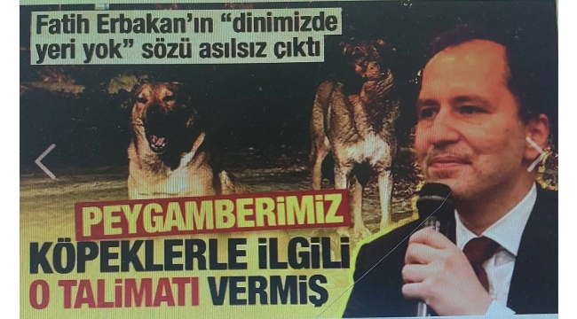 Fatih Erbakan'ın sözü asılsız çıktı! Peygamberimiz köpeklerle ilgili o talimatı vermiş 