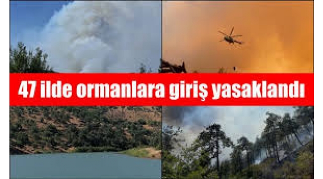 47 ilde ormanlara giriş yasaklandı: Yangın tedbirleri bölge bölge açıklandı 