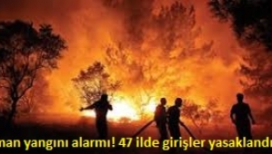 47 ilde ormanlara giriş yasaklandı: Yangın tedbirleri bölge bölge açıklandı 
