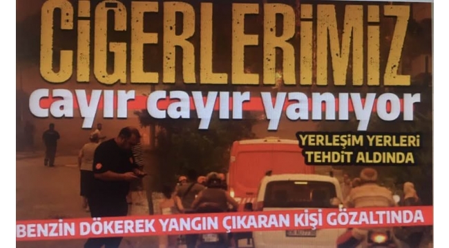 Son dakika orman yangınları: Ciğerlerimiz yanıyor... Orman yangınlarında son durum... Bakan Yumaklı'dan açıklama 