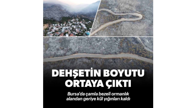 Orman yangınlarında son durum! Bursa, Kahramanmaraş, Karabük... Felaketin boyutu gün ağarınca ortaya çıktı 