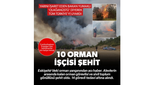 Son dakika haberi... Eskişehir'deki orman yangınında 10 görevli şehit oldu! 