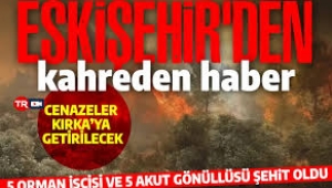 Son dakika haberi... Eskişehir'deki orman yangınında 10 görevli şehit oldu! 