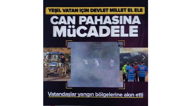 Yeşil vatan için can pahasına mücadele! Devlet ve millet el ele verdi 