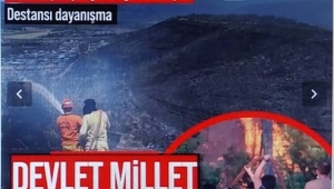 Yeşil vatan için can pahasına mücadele! Devlet ve millet el ele verdi 